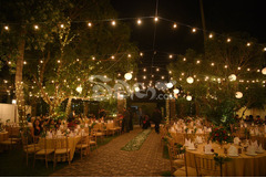 Flower Gate Wedding Decorations